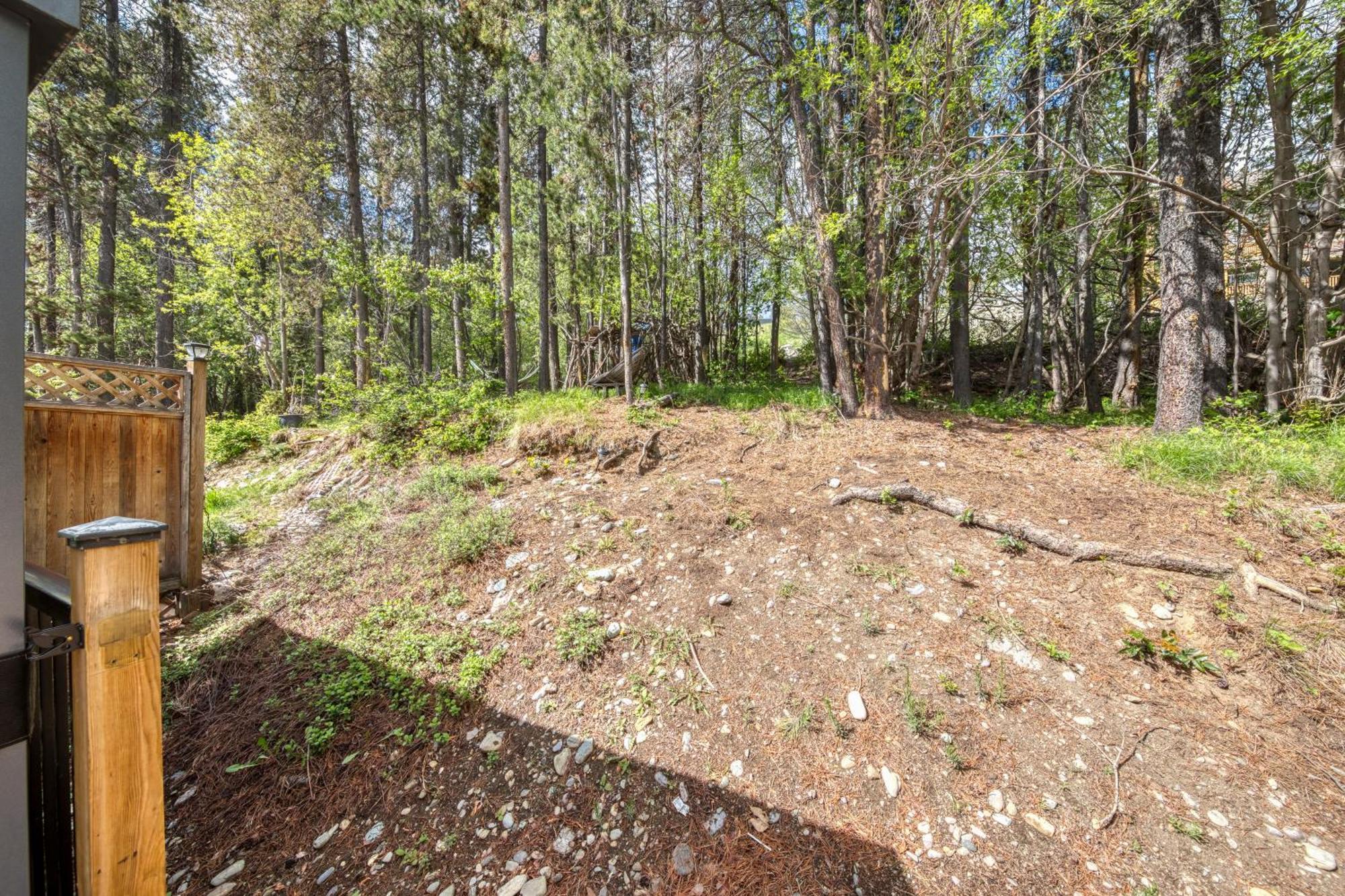 Silver Birch By Stayin Kimberley Bilik gambar